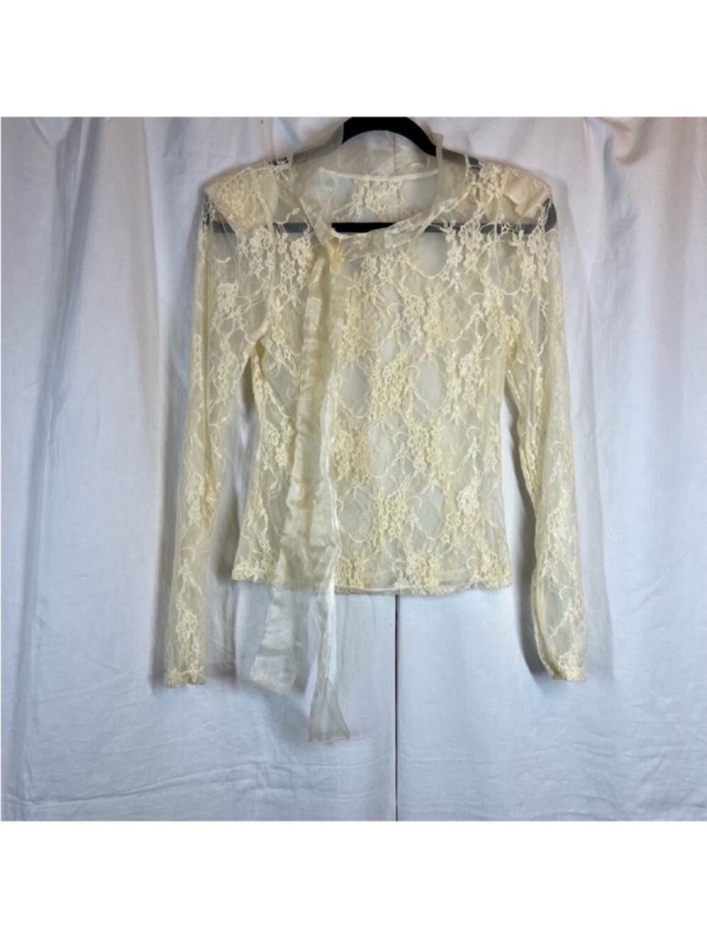Vintage Romantic Victorian sheer lace long sleeve blouse tie neck